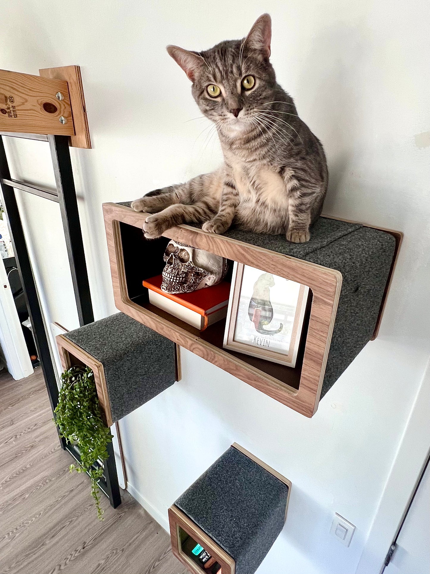 Small Box Kitty Landing Shelf - Cat Wall terrain  - Floating Box shelf and Cat Landing
