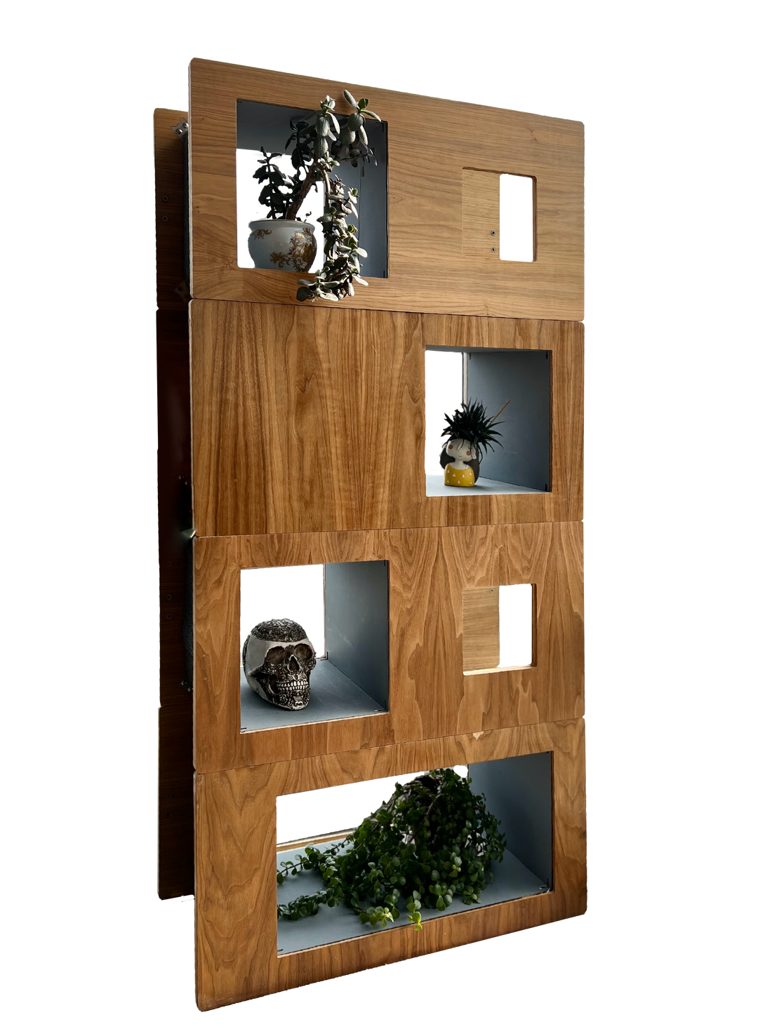 Best Modular Bookcase for Cats: Features to Look For