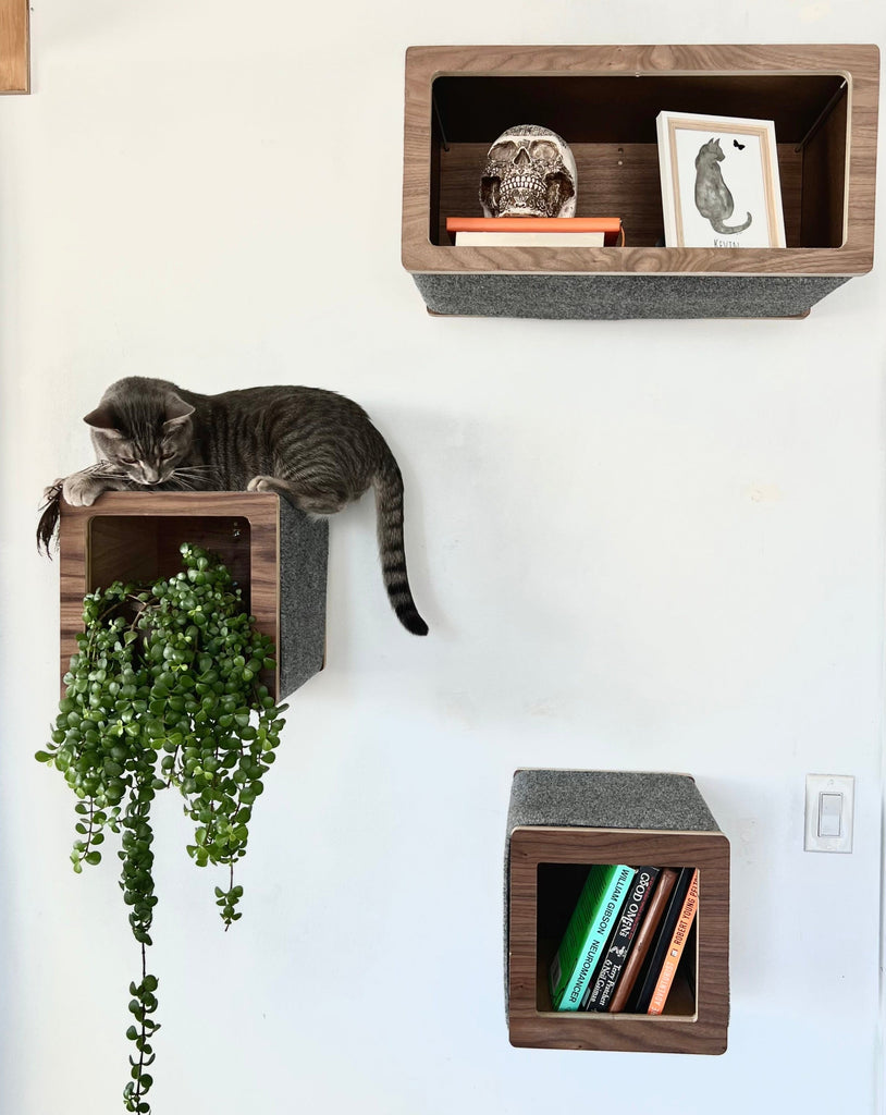 Wall Mounted Floating Box Shelves