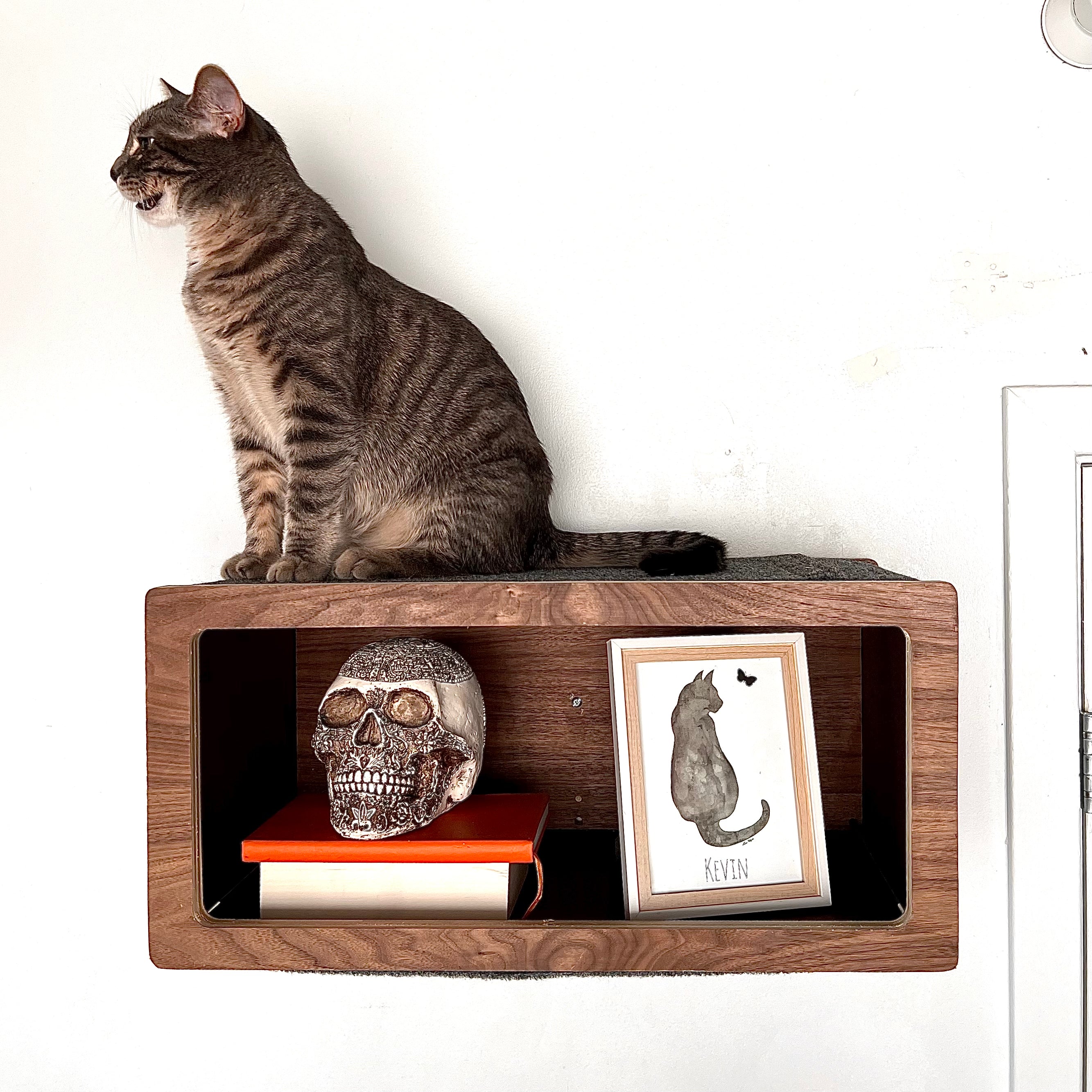 Cat Wall Terrain โ Cat Matter