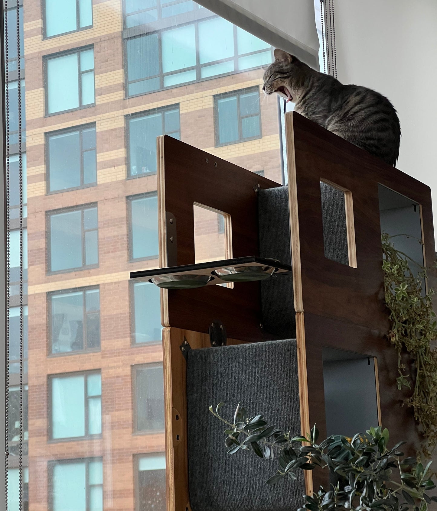 Unique 5 module Combination Configuration - Cat Case™ Bookcase with Hidden Cat Tree / Cat Tower