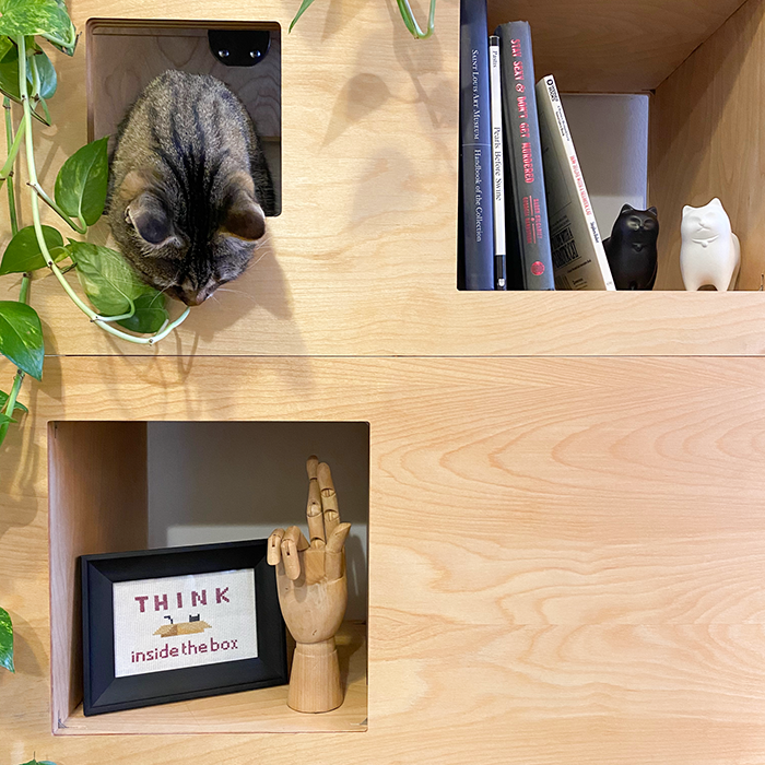 Cat Matter Cat Case Better than a Cat Tree