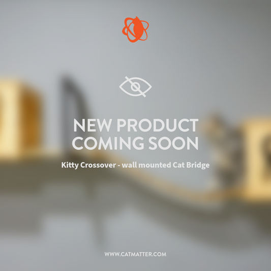 Kitty Causeway - cat bridge