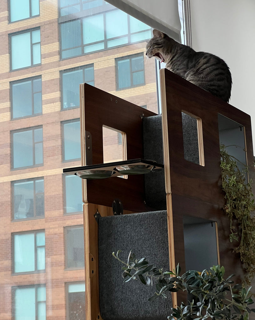 A tabby cat yawns wide as he perches on top of his modern-styled cat tree