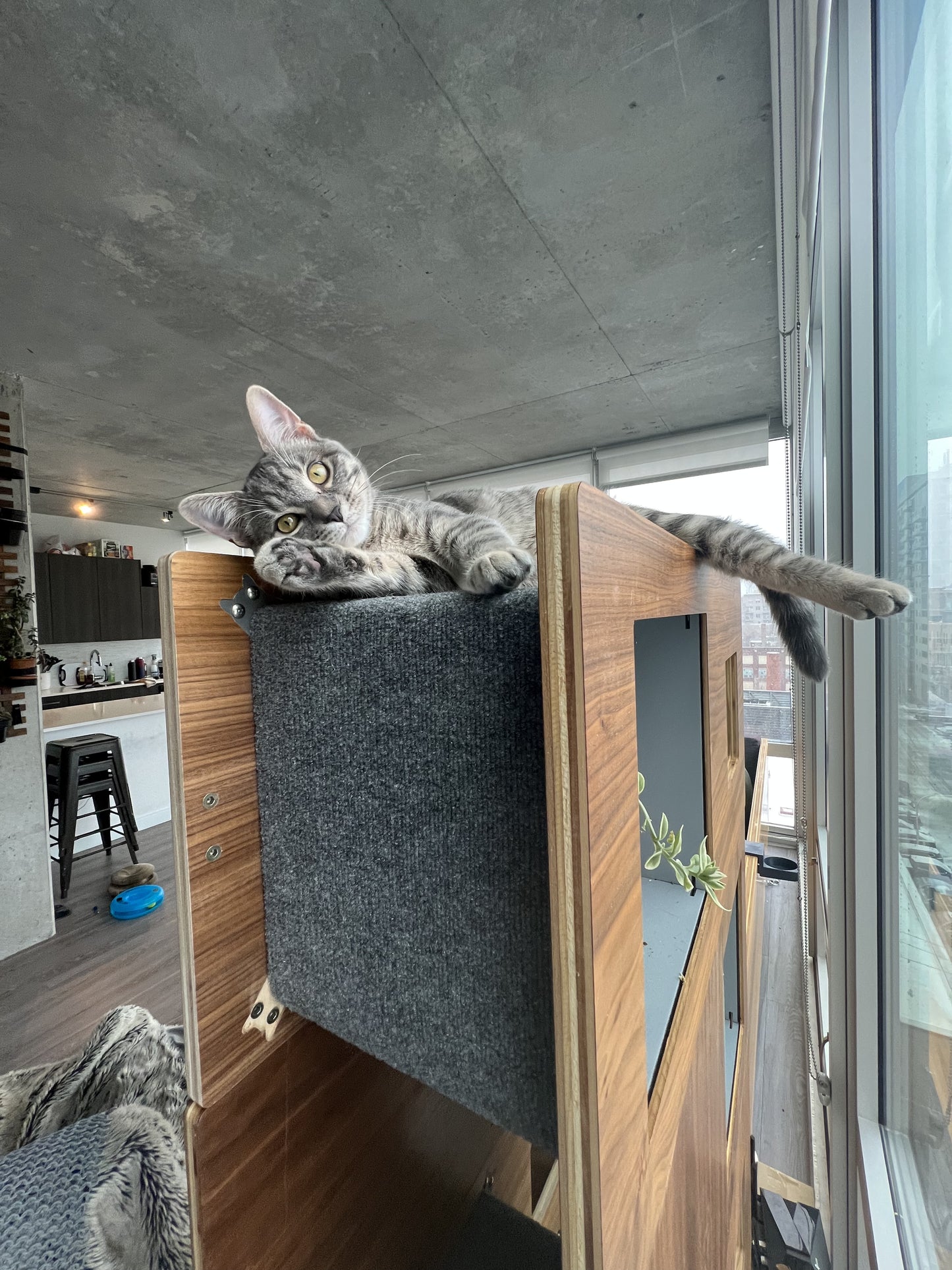 52" Tall module Cat Case™ Bookcase with Hidden Cat Tree / Cat Tower (3 - 17.5" module unit)